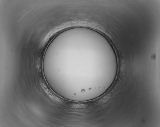 X0000116291499200912141259