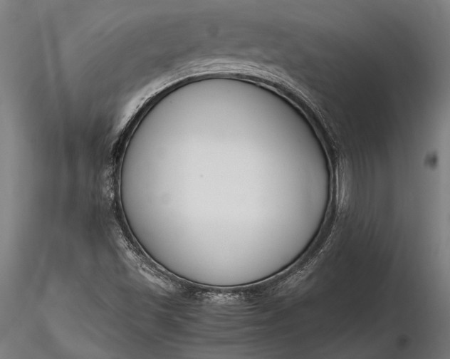 X0000116291501200912141259