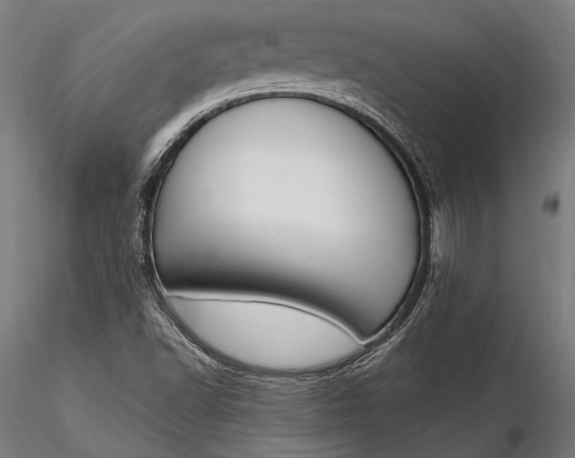 X0000116291502200912141259