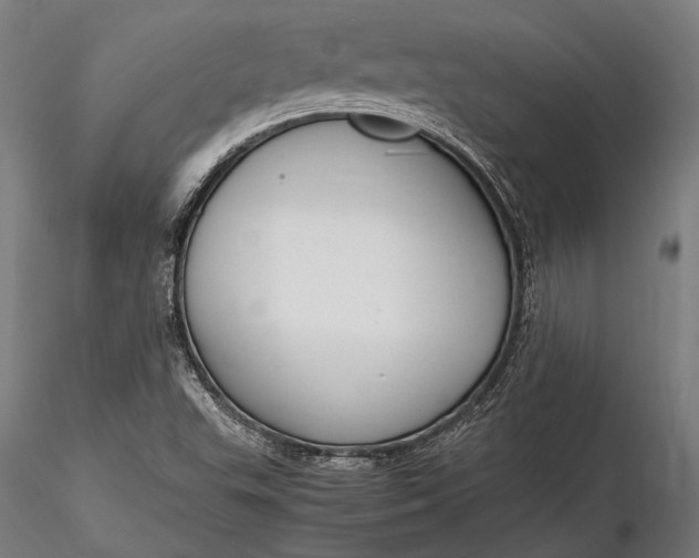 X0000116291503200912141259