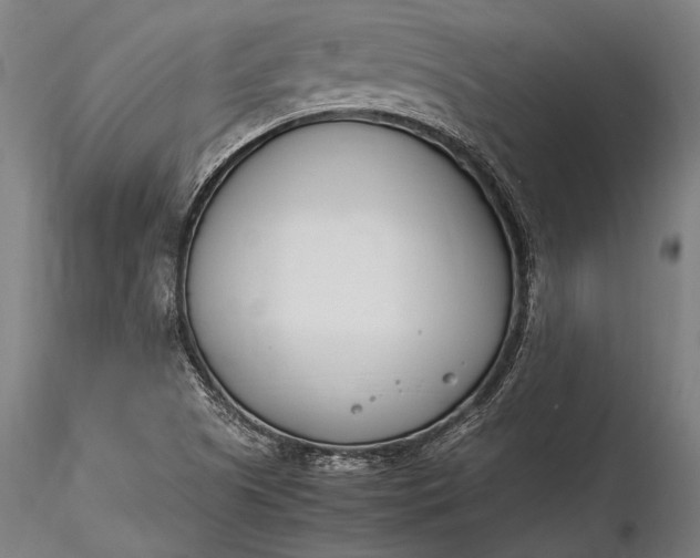 X0000116291505200912141259