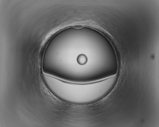 X0000116291506200912141259