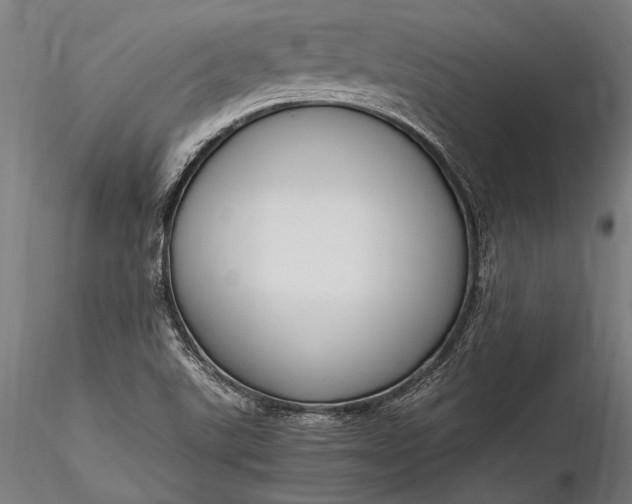 X0000116291507200912141259