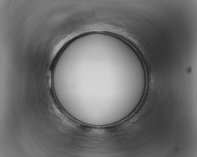 X0000116291509200912141259