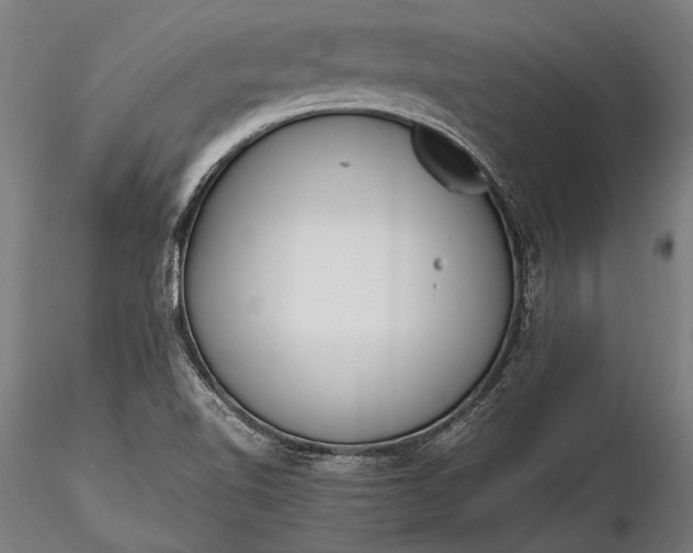 X0000116291510200912141259