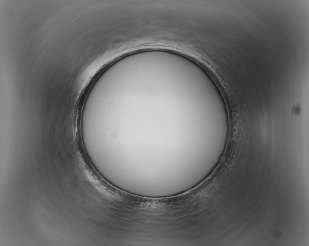 X0000116291511200912141259