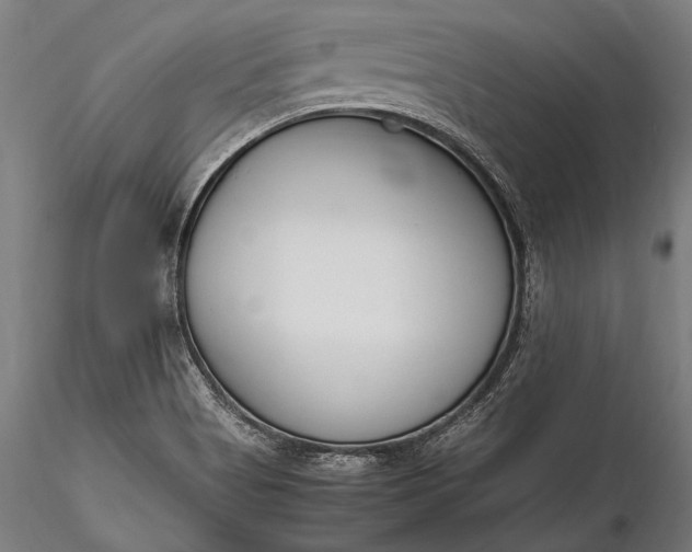 X0000116291513200912141259