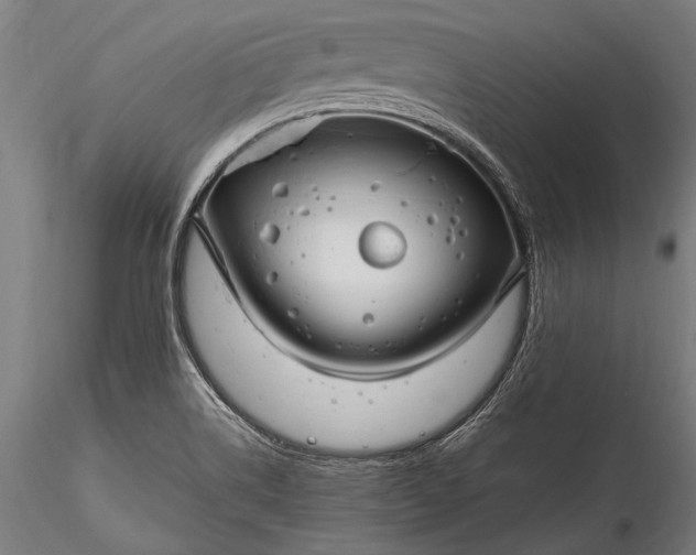 X0000116291514200912141259