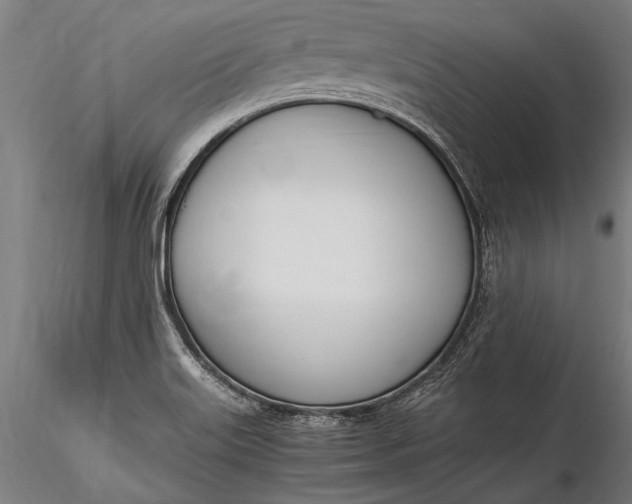 X0000116291515200912141259