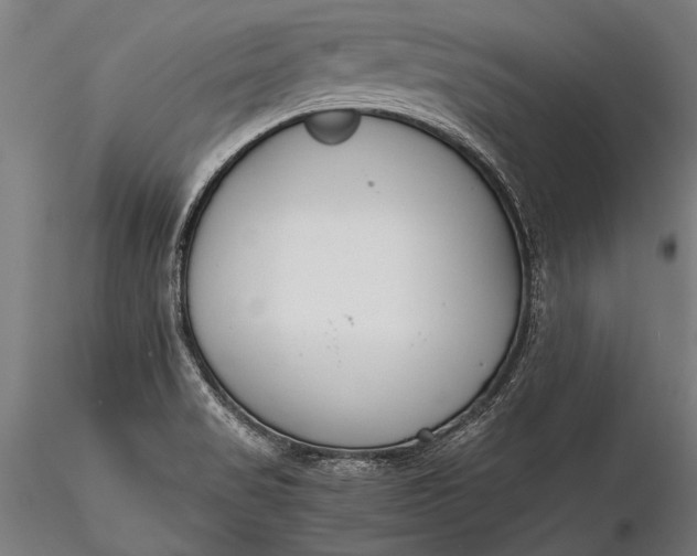 X0000116291517200912141259