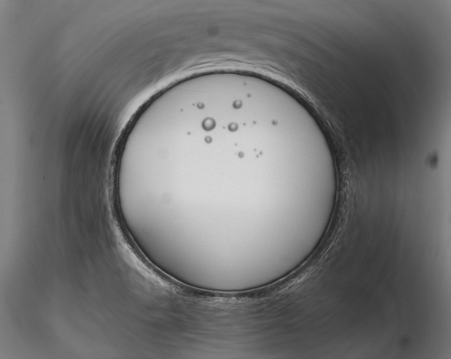 X0000116291518200912141259