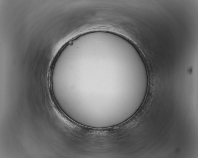 X0000116291519200912141259