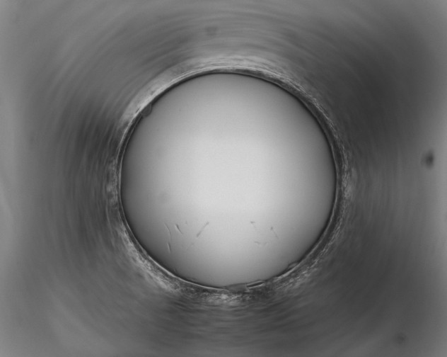 X0000116291521200912141259