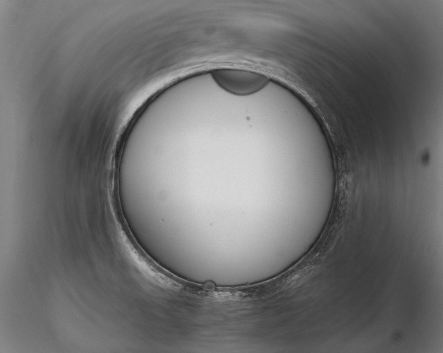 X0000116291523200912141259