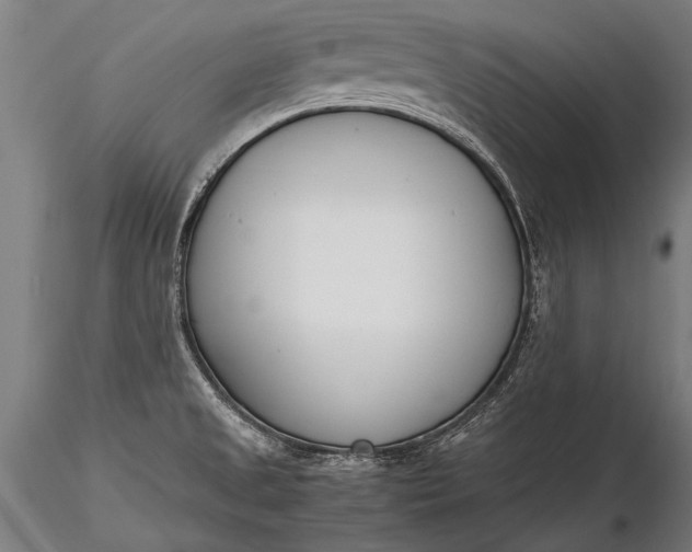 X0000116291525200912141259