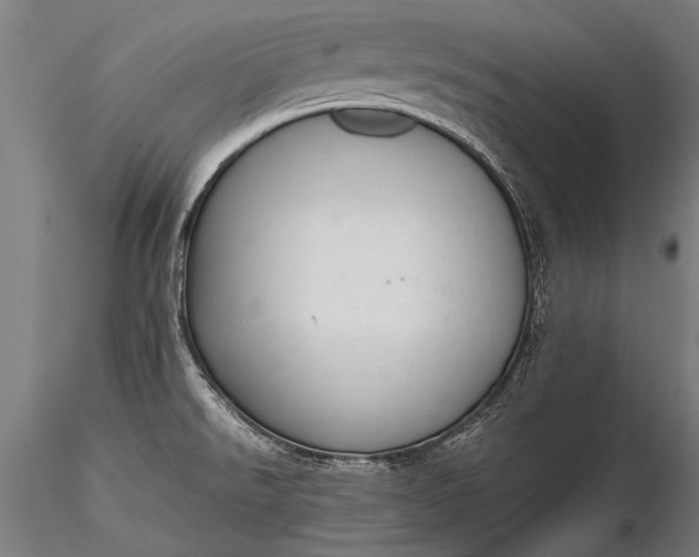 X0000116291526200912141259