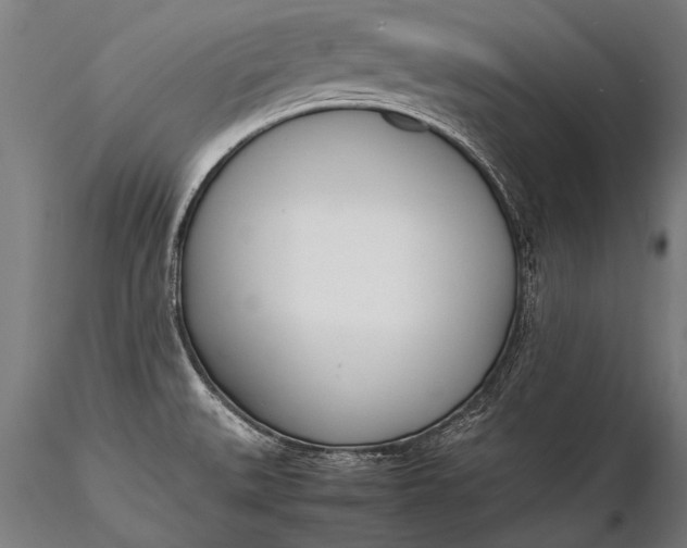 X0000116291527200912141259