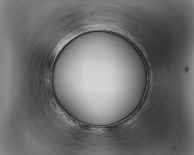 X0000116291529200912141300