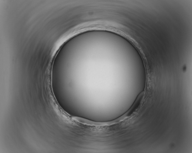 X0000116291530200912141300