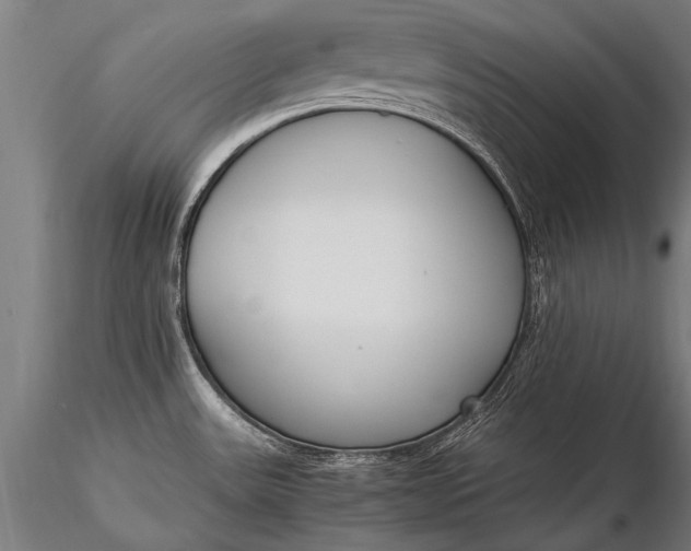 X0000116291531200912141300