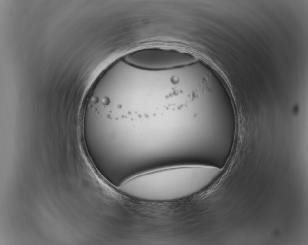 X0000116291533200912141300