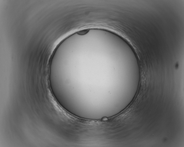 X0000116291534200912141300