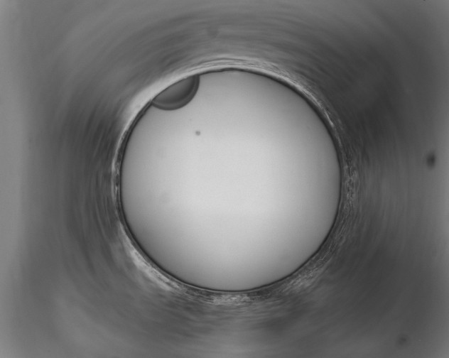 X0000116291535200912141300