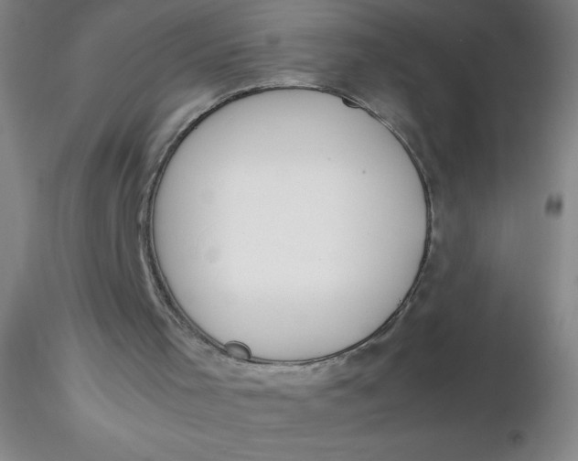 X0000116290001200912211850