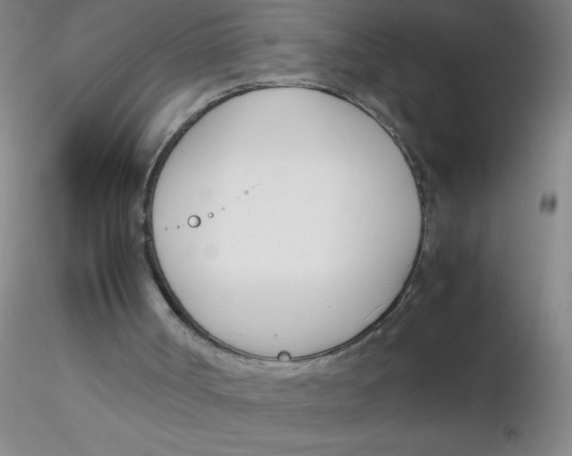 X0000116290002200912211850