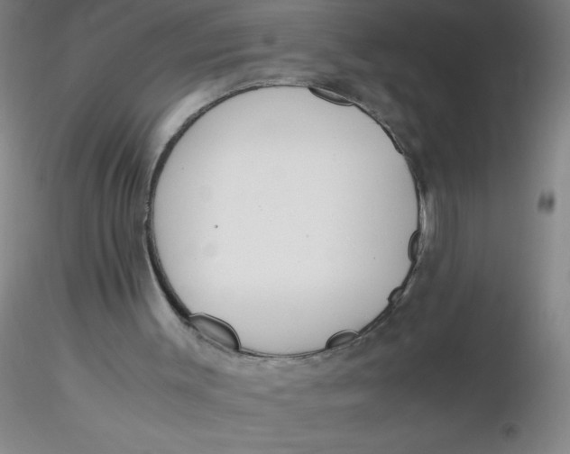 X0000116290003200912211850