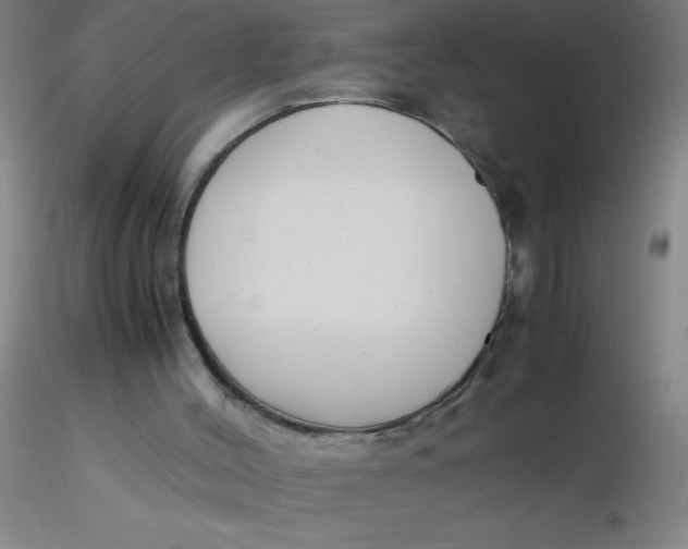 X0000116290004200912211850