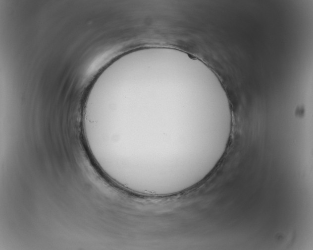 X0000116290005200912211850