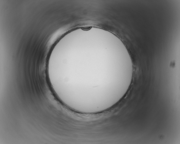 X0000116290006200912211850