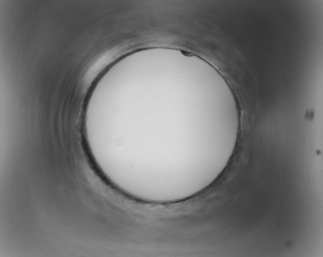 X0000116290007200912211850