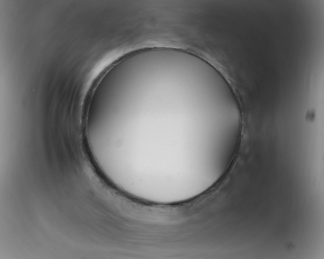 X0000116290008200912211850