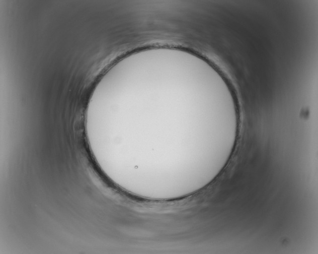 X0000116290009200912211850