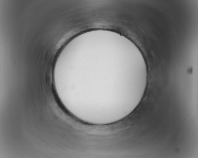 X0000116290011200912211850