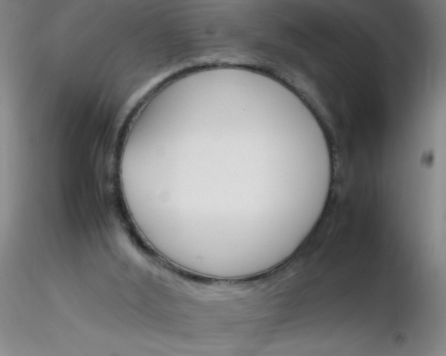 X0000116290012200912211850