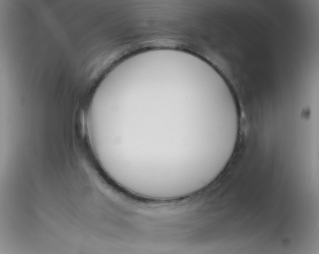 X0000116290013200912211850