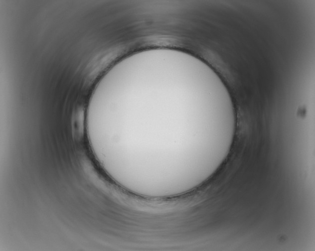 X0000116290014200912211850