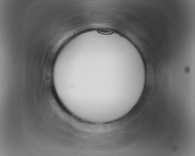 X0000116290015200912211850