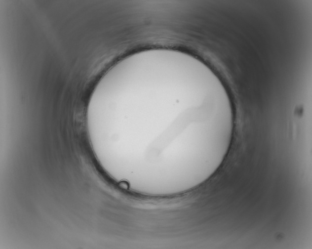 X0000116290017200912211850