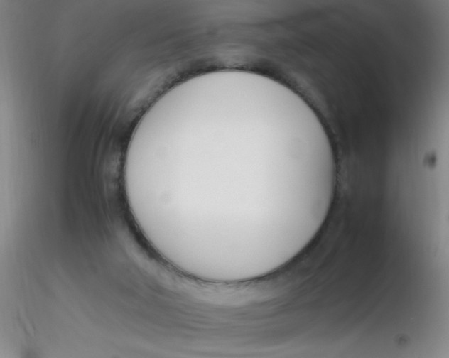 X0000116290018200912211850