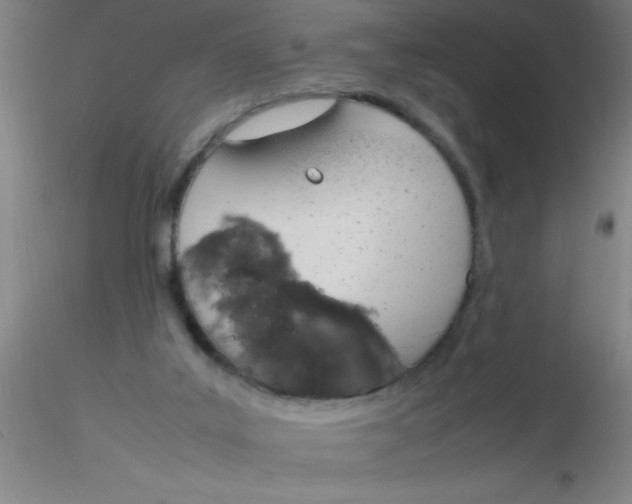 X0000116290019200912211850