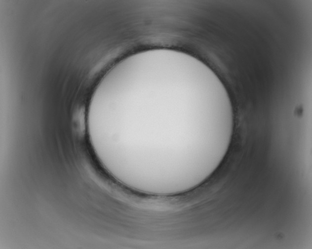 X0000116290020200912211850