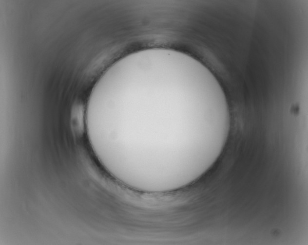 X0000116290022200912211850