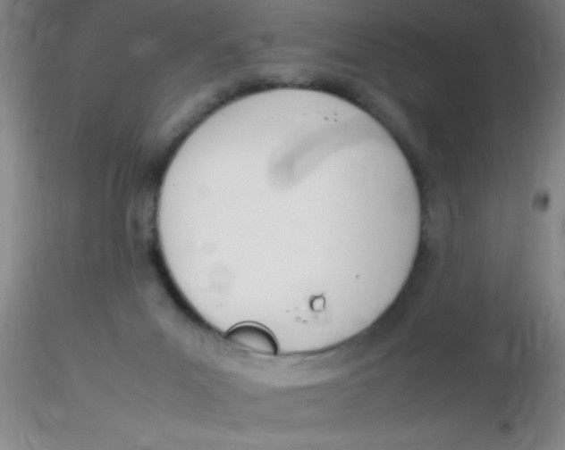 X0000116290023200912211850