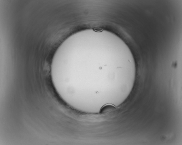 X0000116290025200912211850