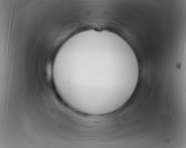 X0000116290028200912211850