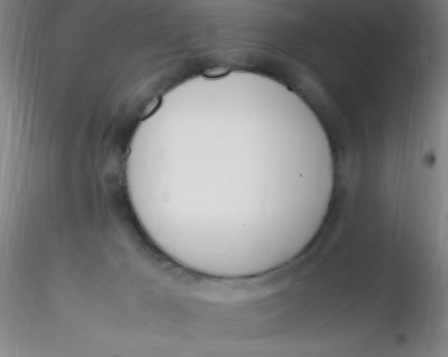 X0000116290029200912211850